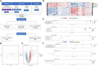 Integrative analysis of RNA-sequencing and microarray for the identification of adverse effects of UVB exposure on human skin